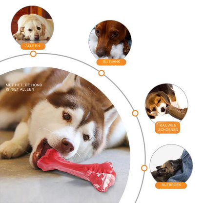 Hund kaut auf rotem Kauspielzeug, umgeben von Bildern anderer Hunde mit Spielzeug, Text "Met het, de hond is niet alleen".