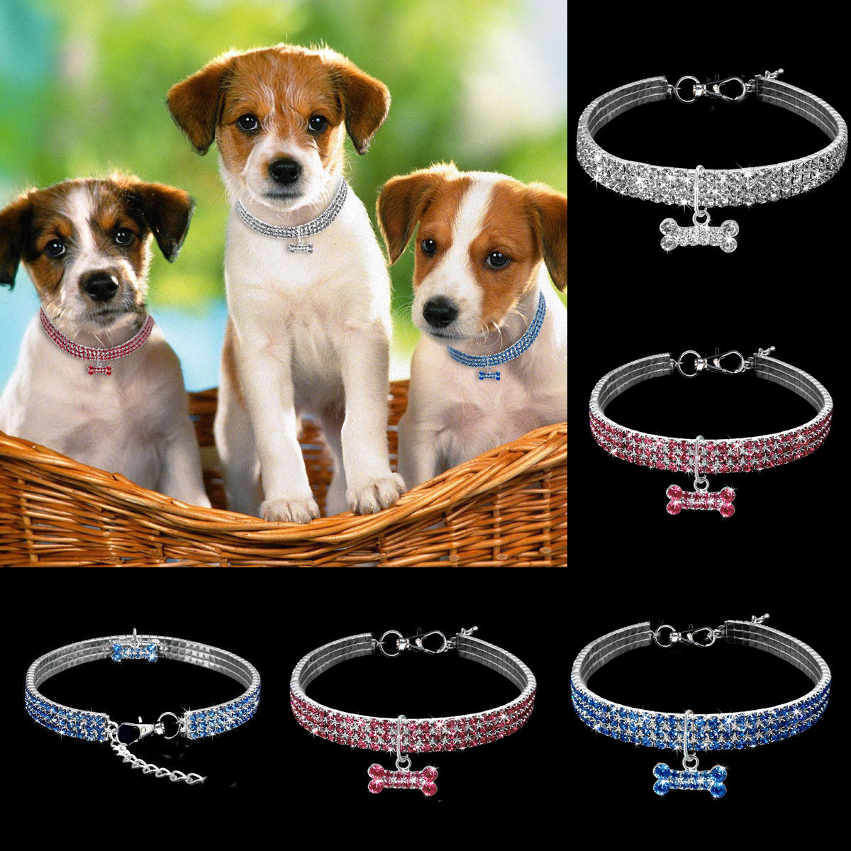 Drei Welpen im Korb mit funkelnden Hundehalsbändern in Silber, Rosa und Blau.