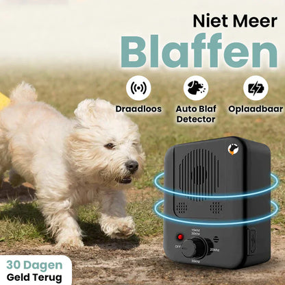 Drahtloser Anti-Bell-Detektor, schwarz, aufladbar, für Hunde, im Freien, mit Hund im Hintergrund.
