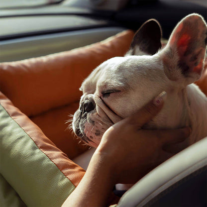 Französische Bulldogge im luxuriösen Kunstleder-Hundesitz, Auto, Komfort, Sicherheit.