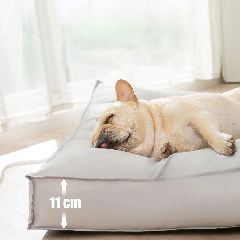 Schlafender Hund auf grauem Hundebett, 11 cm hoch, im sonnigen Raum.