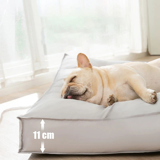 Schlafender Hund auf grauem Hundebett, 11 cm hoch, im sonnigen Raum.