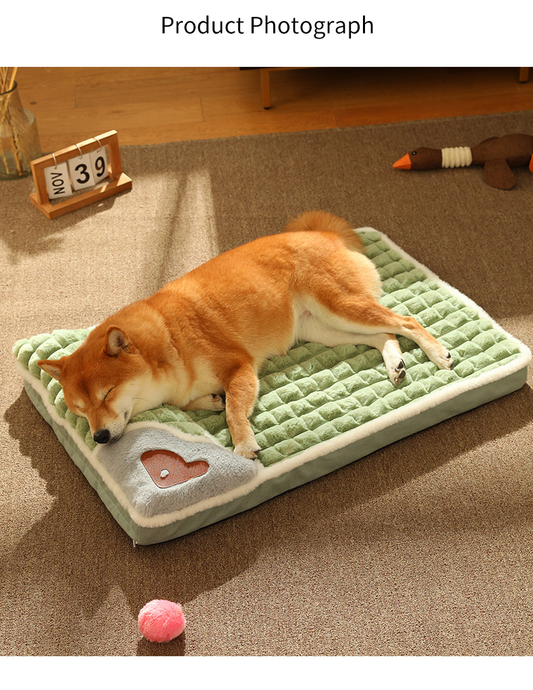 Hund schläft auf grünem, weichem Hundebett mit Herzmotiv, gemütlich, rutschfest, waschbar.
