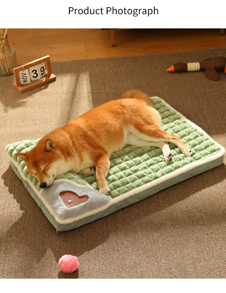 Schlafender Hund auf grünem, weichem Hundebett mit Herzmotiv, gemütlich, Haustierbedarf.