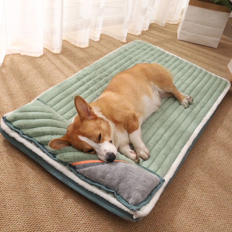 Schlafender Corgi auf grünem Hundebett mit Kissen, gemütlich, Haustierbedarf, Innenraum.