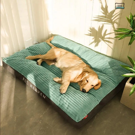 Golden Retriever auf grünem Hundebett, gemütlich, rechteckig, weiches Material, Innenbereich.
