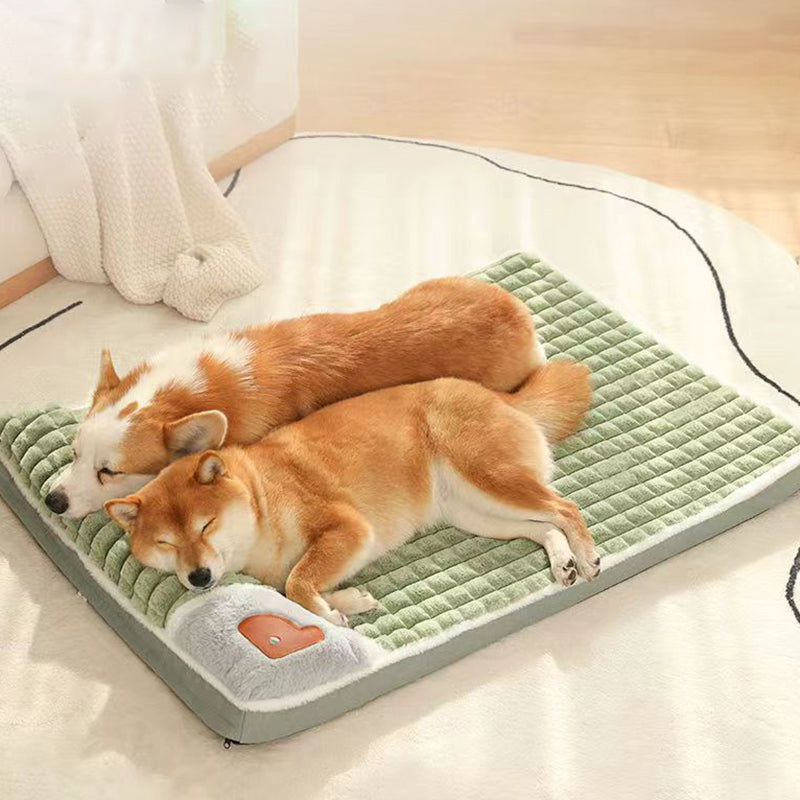 Zwei schlafende Hunde auf grünem Hundebett, gemütlich, weich, Haustierbedarf, Wohnzimmer.