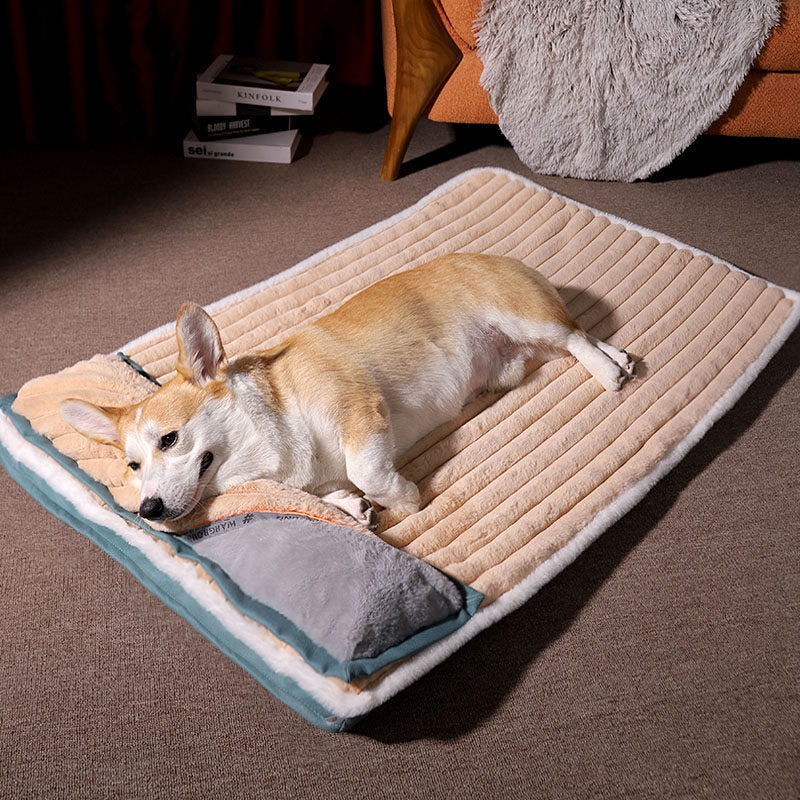 Corgi auf beigem Hundebett aus Plüsch, gemütlich liegend im Wohnzimmer.