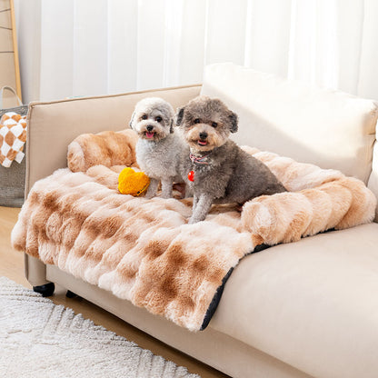 Zwei Hunde auf beigem, flauschigem Hundebett auf Sofa, Wohnzimmer, gemütlich, Haustierbedarf.