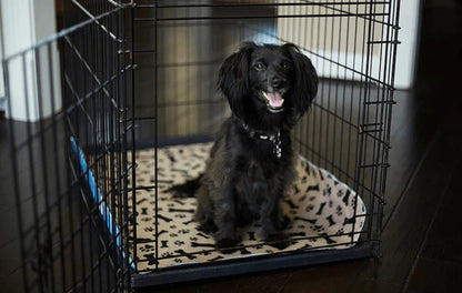 Schwarzer Hund in Metallkäfig auf beigem Hundekissen mit Pfotenmuster, Innenaufnahme.