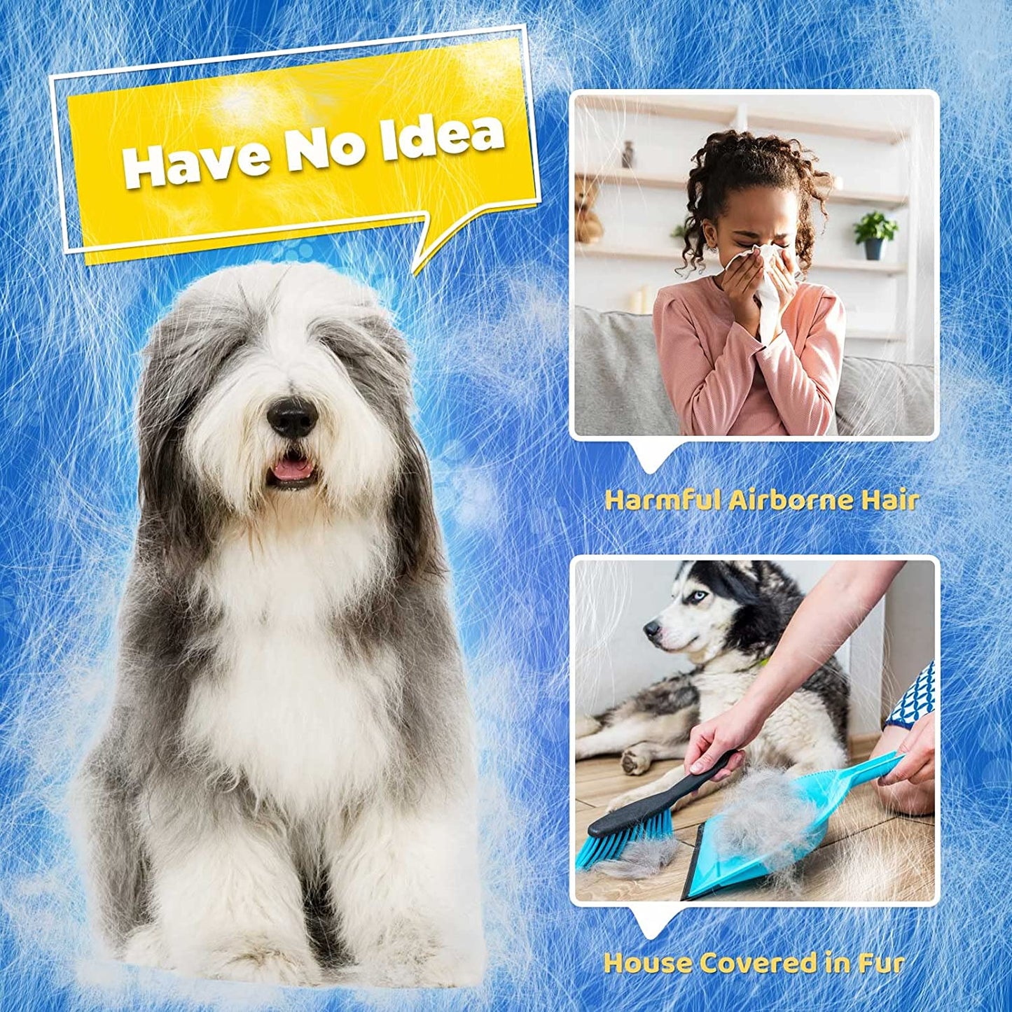 Hund mit langem Fell, Allergie, Tierhaare, Reinigung, blaue Bürste, Innenraum, Frau niest.