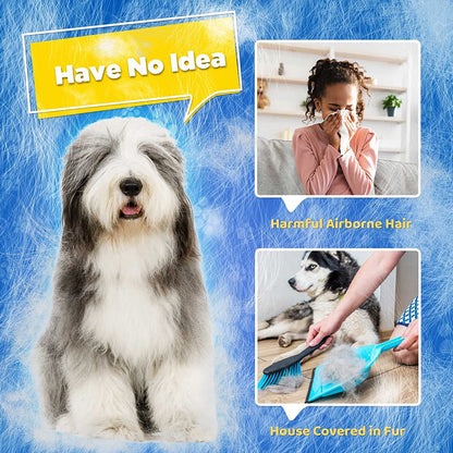 Hund mit langem Fell, Allergie, Tierhaare, Reinigung, blaue Bürste, Innenraum, Frau niest.