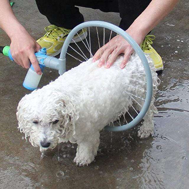 Hundedusche mit Sprühreifen, weißer Hund, Haustierpflege, Outdoor, praktische Reinigungslösung.