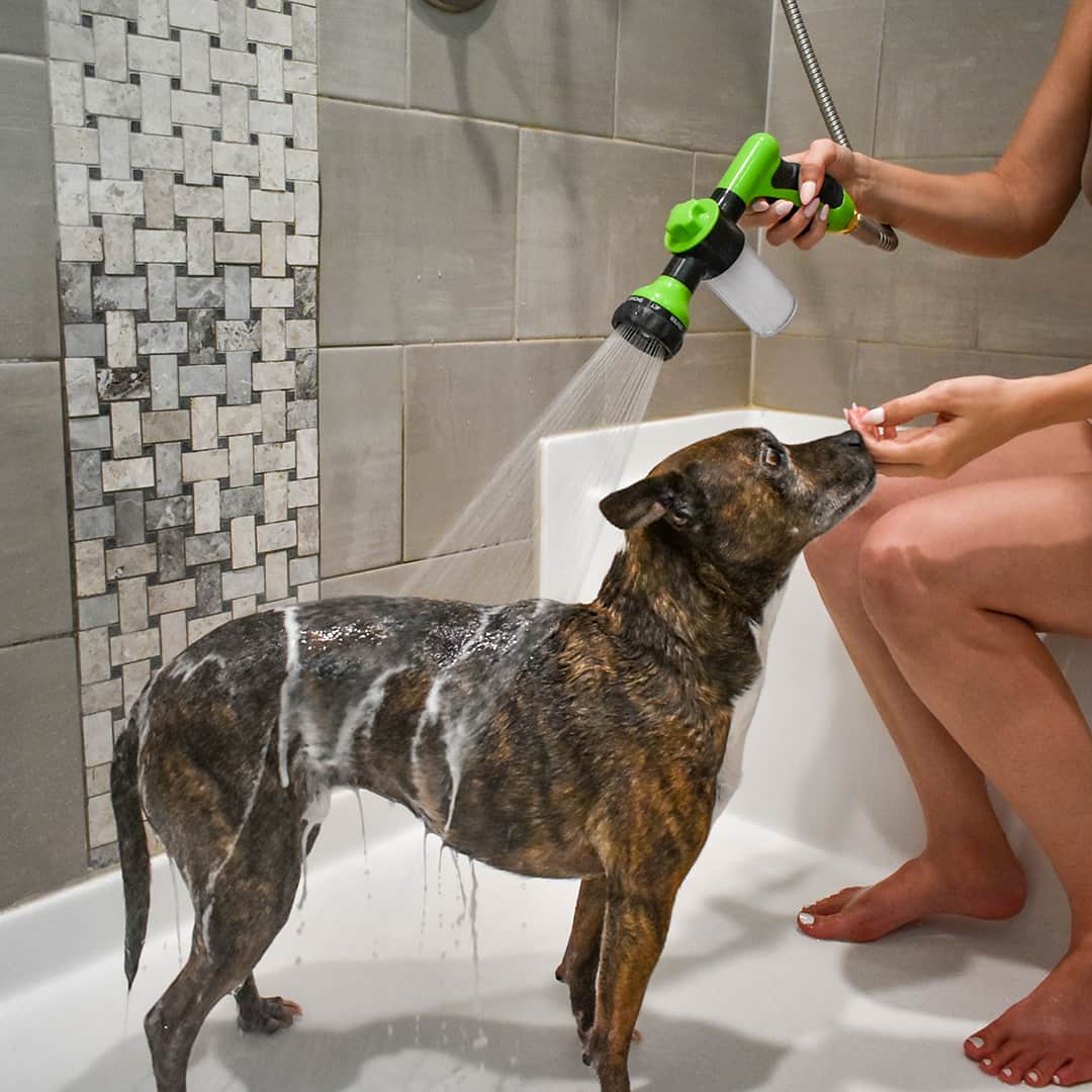Person duscht Hund in Badewanne mit grünem Duschkopf, Badezimmer, Haustierpflege, Hundewäsche.