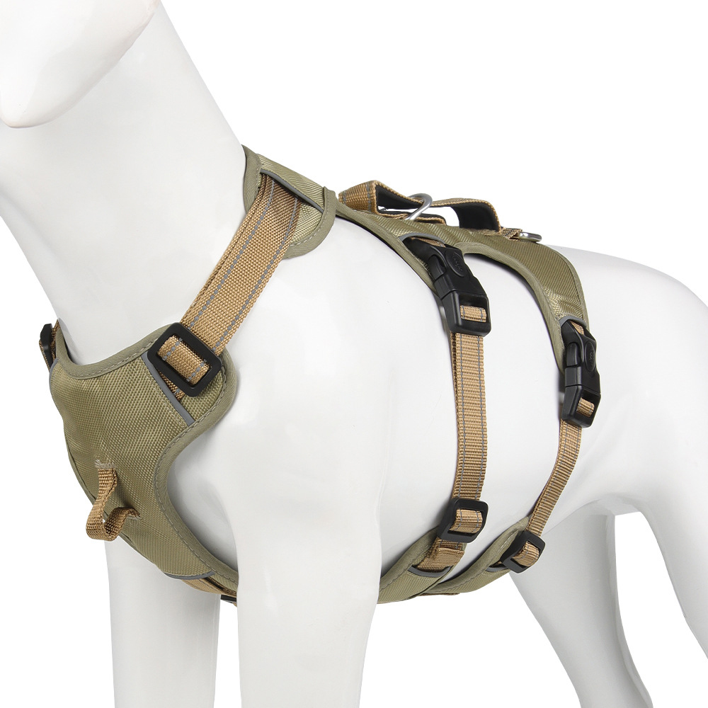 Grünes Hundegeschirr, verstellbar, robust, mit Schnallen, für mittelgroße Hunde.