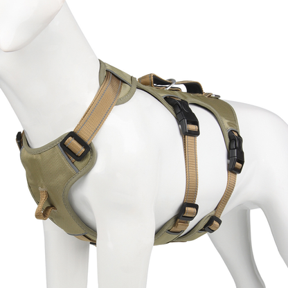 Grünes Hundegeschirr, verstellbar, robust, mit Schnallen, für mittelgroße Hunde.
