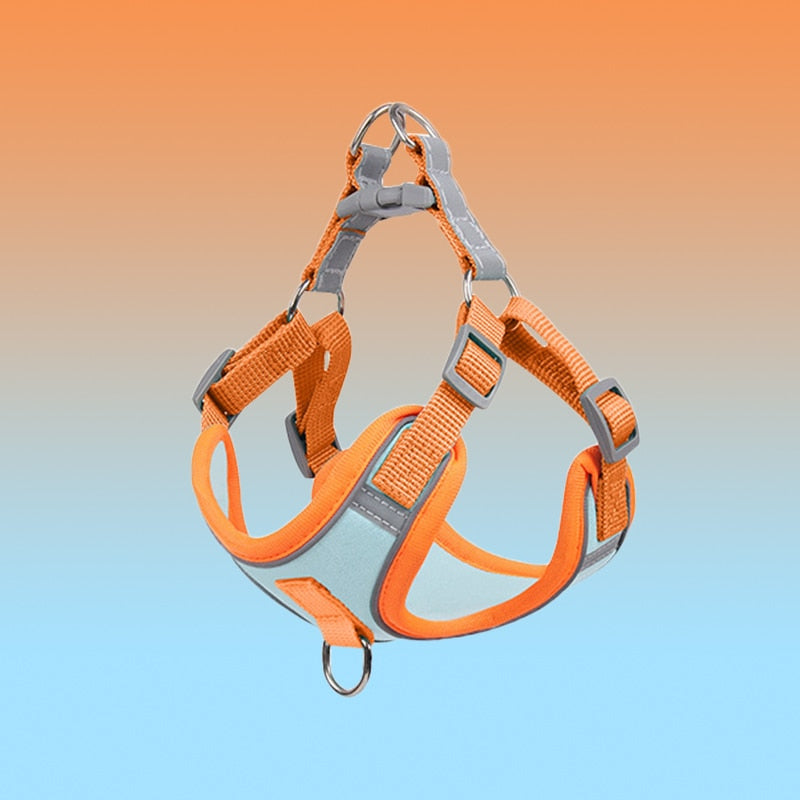 Orange-graues Hundegeschirr, verstellbar, reflektierend, für Sicherheit und Komfort.