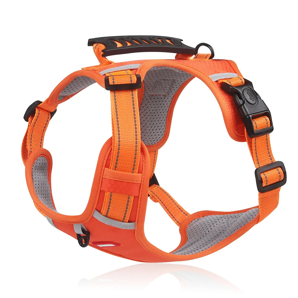 Orange Hundegeschirr, verstellbar, reflektierend, atmungsaktiv, für sicheres Hundetraining.