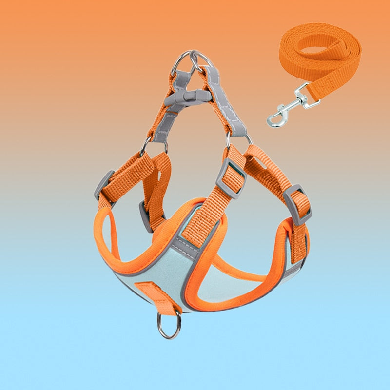 Orange Hundegeschirr und Leine, verstellbar, reflektierend, für kleine bis mittelgroße Hunde.