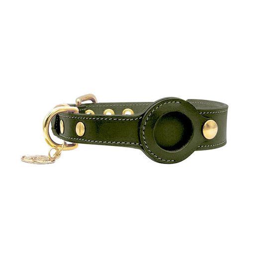 Grünes Lederhundehalsband mit goldenen Nieten und Anhänger, stilvoll und robust.