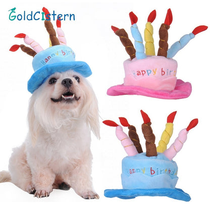 Hund mit Geburtstagsmütze, bunte Kerzen, Plüsch, Partyhut, blau und rosa, lustiges Haustierzubehör.