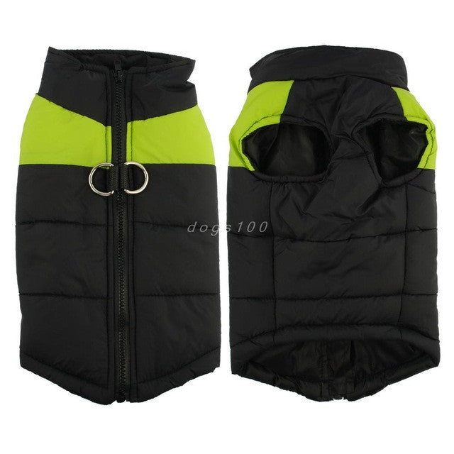 Schwarze und grüne Hundejacke mit Reißverschluss, reflektierend, wasserabweisend, Winterkleidung.