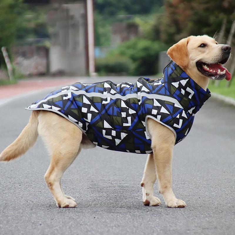 Labrador im geometrischen Hundemantel, blau-schwarz, Outdoor-Hundebekleidung, wasserdicht.