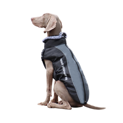 Hund in schwarzem Wintermantel mit Fellkragen, reflektierende Streifen, Outdoor-Bekleidung.