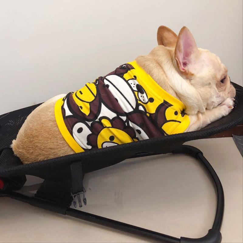 Französische Bulldogge in gelbem Hundepullover mit Smiley-Muster auf schwarzem Stuhl.