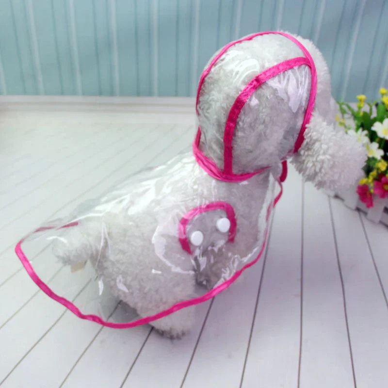 Kleiner Hund in transparentem Regenmantel mit pinkem Rand, auf Holzboden, vor Blumen.