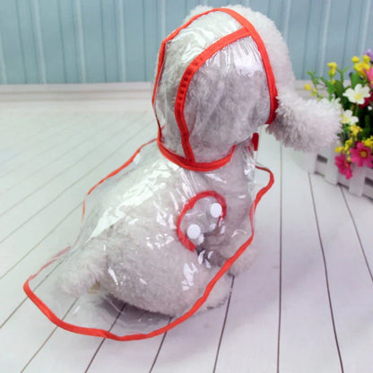 Kleiner Hund in transparentem Regenmantel mit rotem Rand, steht auf Holzboden, Blumen im Hintergrund.