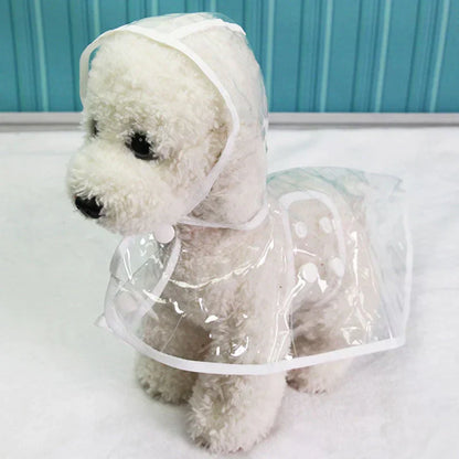 Weißer Hund mit transparentem Regenmantel, wasserdicht, Haustierbekleidung, niedlich.