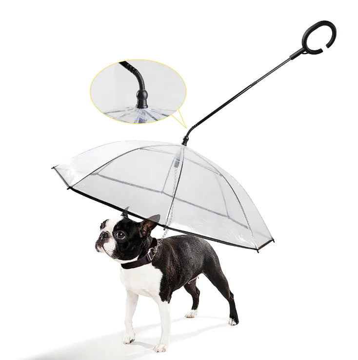 Schwarzer Hund mit transparentem Regenschirm, Hundeschirm, Haustierzubehör, wetterfest.