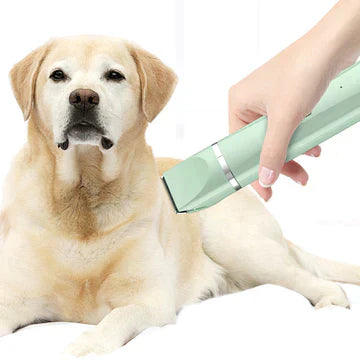 Hund wird mit grünem elektrischen Haarschneider gepflegt, Haustierpflege, Tierhaarschneider.