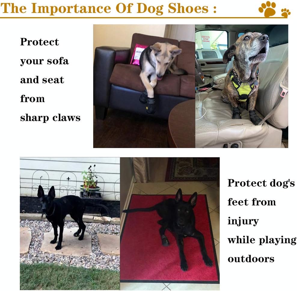 Hundeschuhe schützen Möbel und Hundepfoten, verhindern Verletzungen und Kratzer, ideal für draußen.