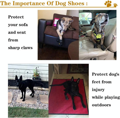 Hundeschuhe schützen Möbel und Hundepfoten, verhindern Verletzungen und Kratzer, ideal für draußen.