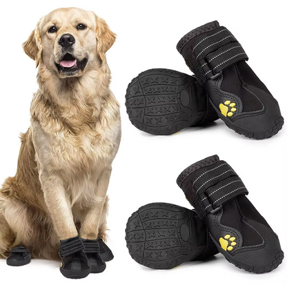 Golden Retriever mit schwarzen Hundeschuhen, rutschfest, wasserdicht, Pfotenschutz.