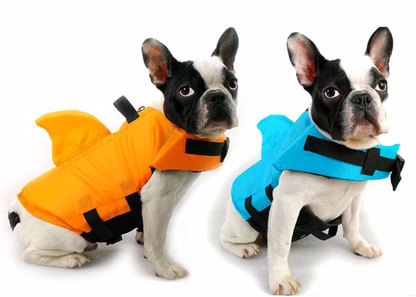 Französische Bulldoggen in orange-blauen Schwimmwesten mit Haiflossen, Haustierzubehör.