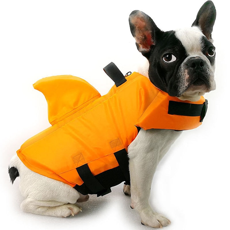 Französische Bulldogge in orangefarbener Schwimmweste mit Haifischflosse, Haustierzubehör.