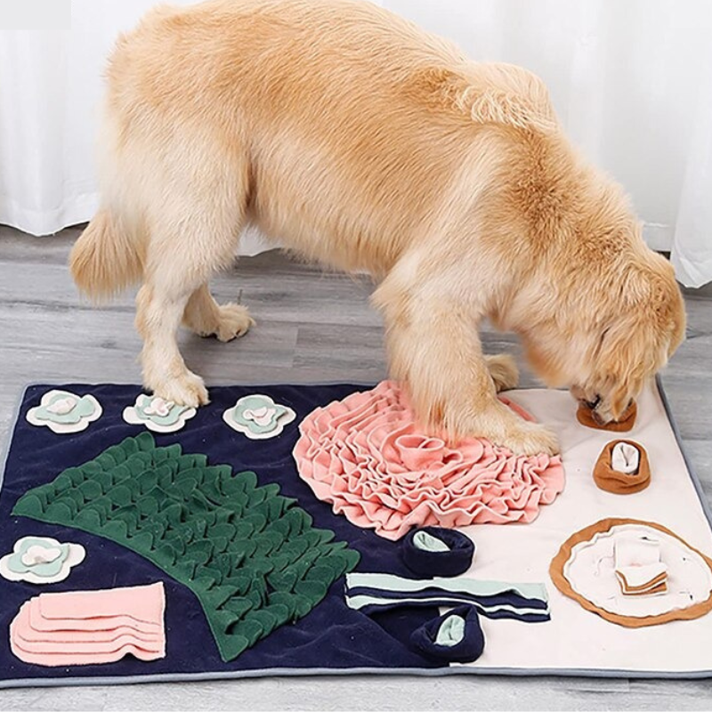 Golden Retriever spielt mit Schnüffelteppich, interaktives Hundespielzeug, rosa und grün.