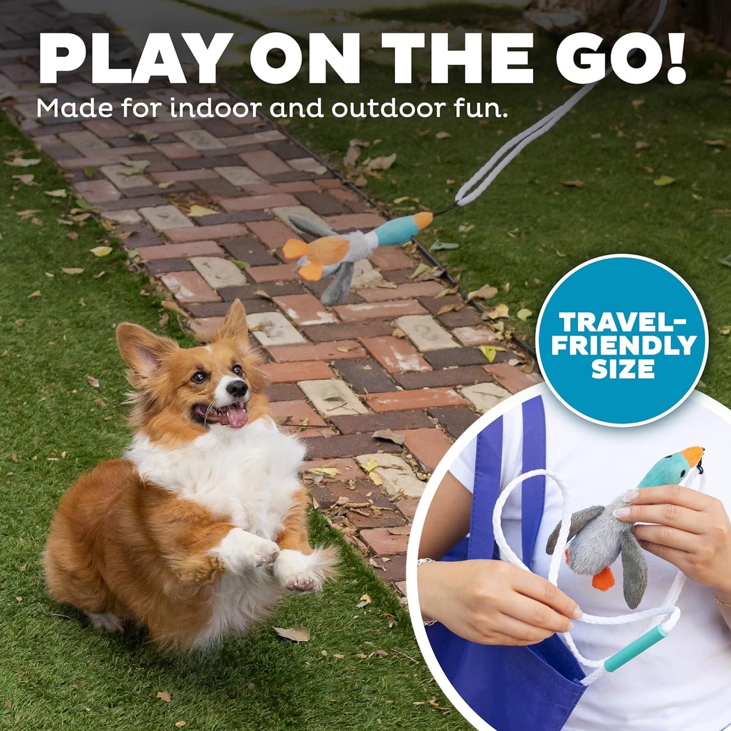Corgi spielt mit Plüschspielzeug im Garten, ideal für drinnen und draußen, reisetauglich.