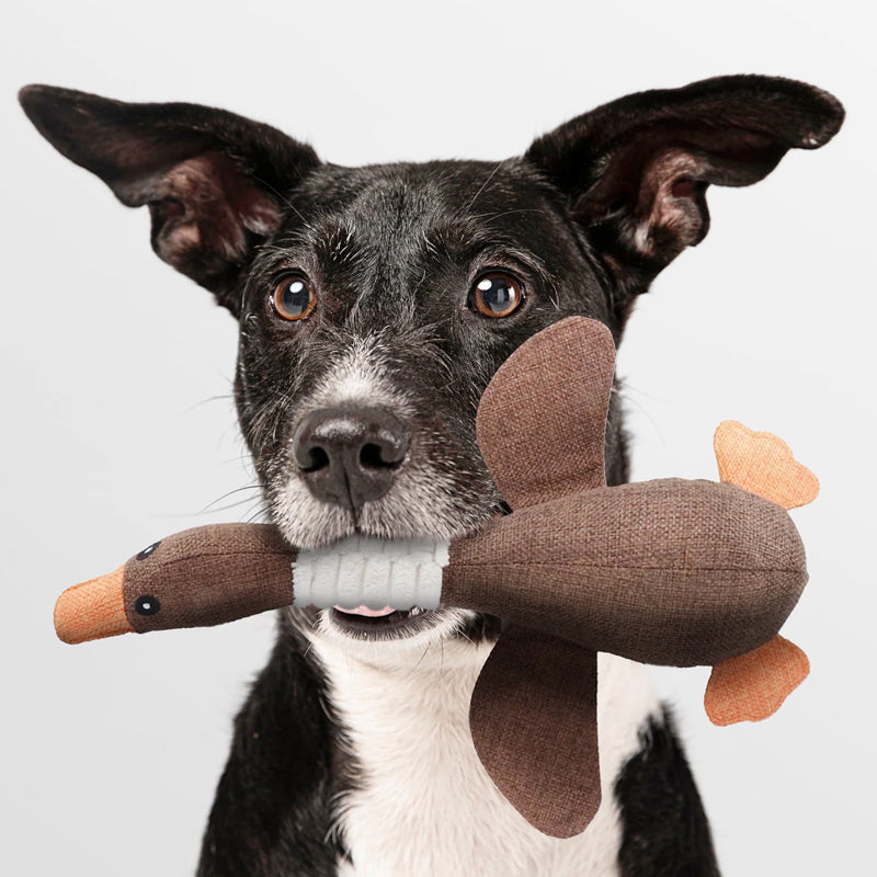 Hund mit braunem Stoffspielzeug in Entenform, Hundespielzeug, Haustierbedarf, Spielzeug für Hunde.