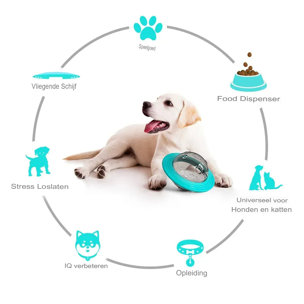 Labrador-Welpe mit blauem Spielzeug, fliegende Scheibe, Futterspender, Hundetraining.