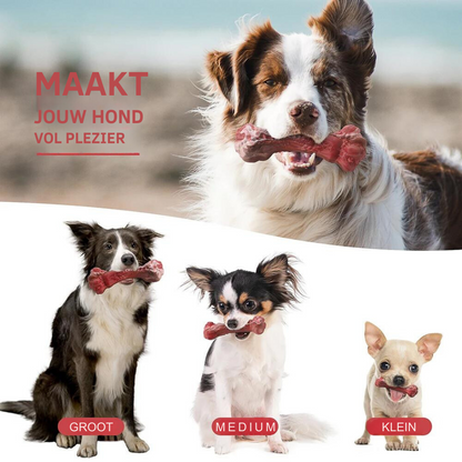 Vier Hunde mit Kauspielzeug, verschiedene Größen, draußen, glücklich, Hundespielzeug.