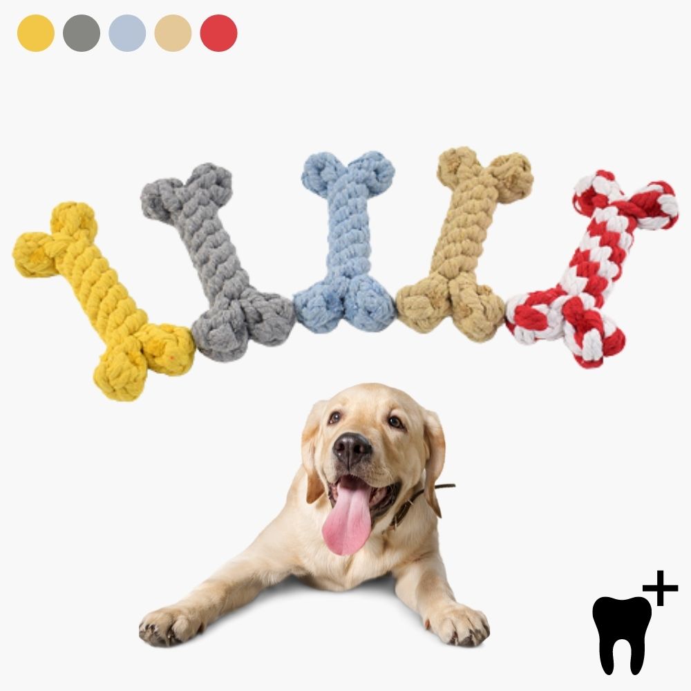 Hundespielzeug Kauknochen Set, 5-teilig, bunt, Baumwolle, Zahnpflege, langlebig, für Welpen.