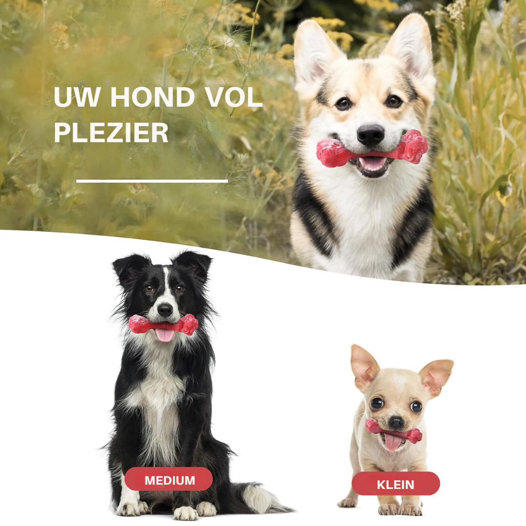 Hunde mit roten Kauspielzeugen, verschiedene Rassen und Größen, draußen im Gras.