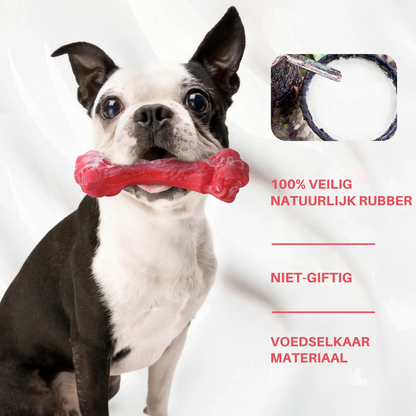 Hund mit rotem Kauspielzeug aus natürlichem, ungiftigem Gummi, lebensmittelecht.