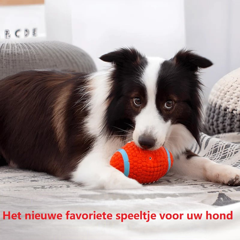 Hund spielt mit orange-blauem Hundespielzeug auf Teppich im Wohnzimmer.