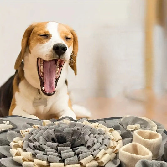 Beagle gähnt vor grauer Schnüffelmatte, Hundespielzeug, interaktives Futterspiel, Heimtierbedarf.