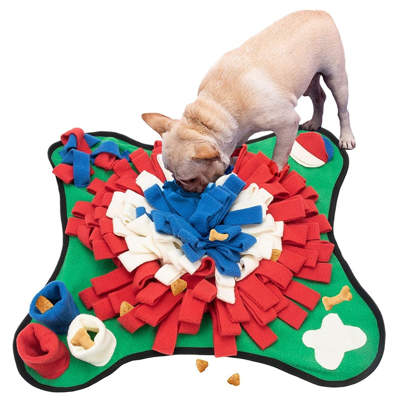 Französische Bulldogge mit Schnüffelteppich, rot-blau-weiß, interaktives Hundespielzeug.